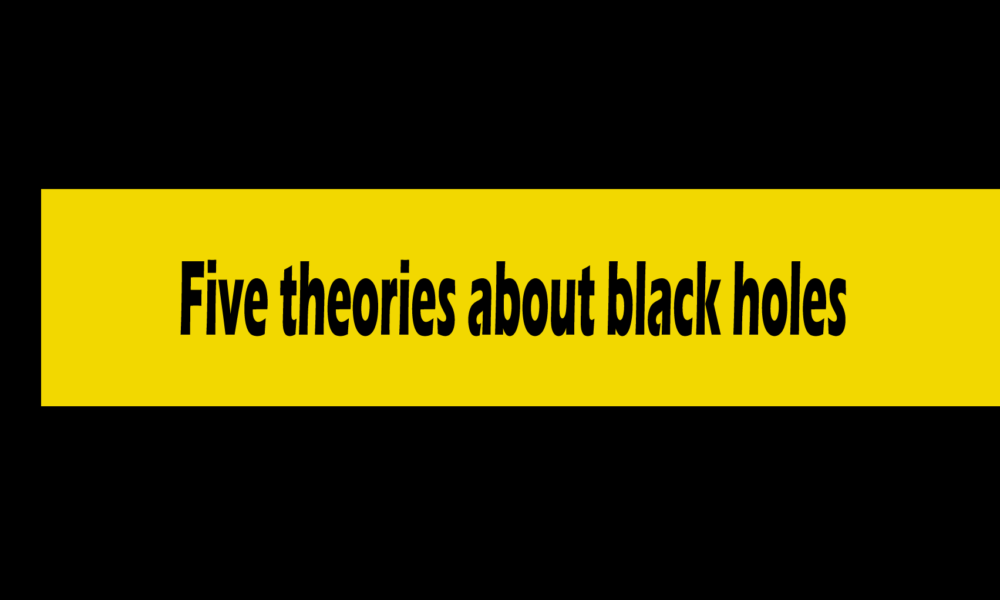 Five theories about black holes
