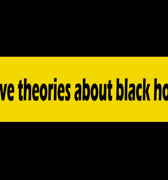 Five theories about black holes